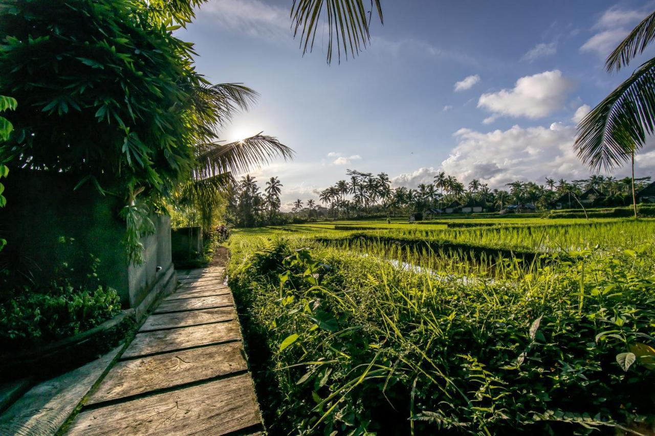 Villa Natha Ubud Eksteriør billede